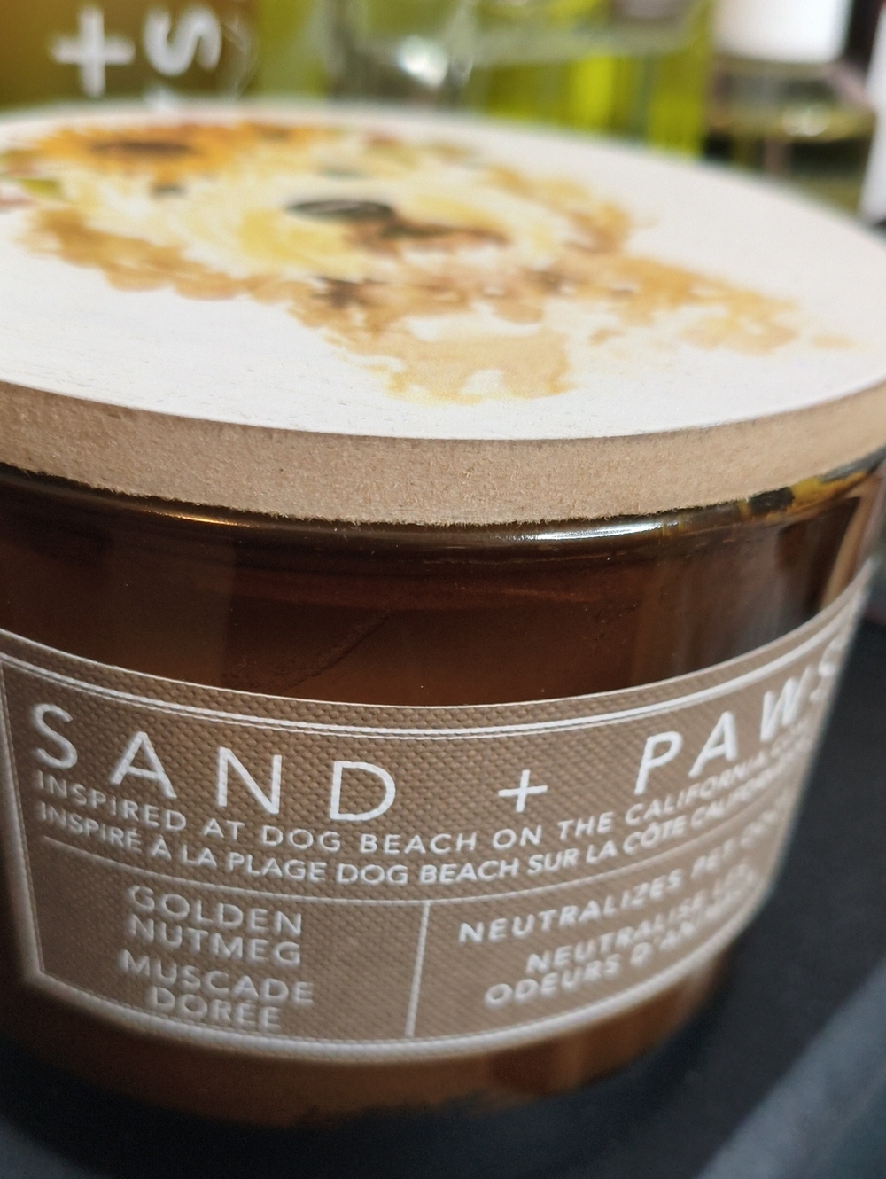 Sand + Fog Golden Nutmeg candle 🕯️